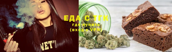 гидра Богородицк