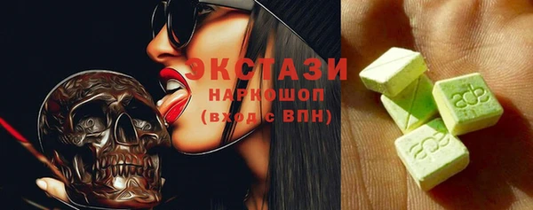 гидра Богородицк