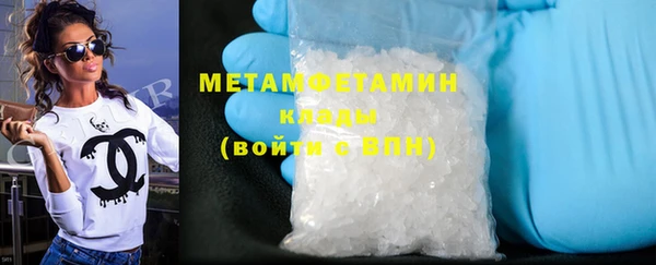 гидра Богородицк