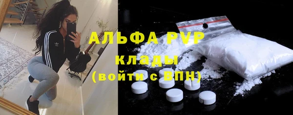 гидра Богородицк