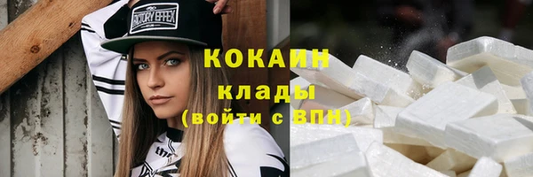 гидра Богородицк