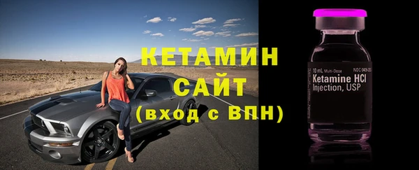 гидра Богородицк