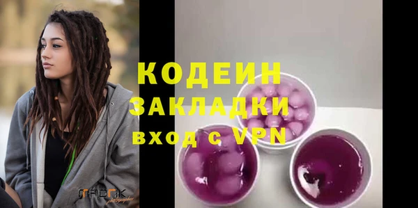 гидра Богородицк