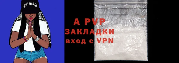 гидра Богородицк