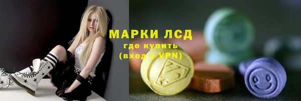 гидра Богородицк