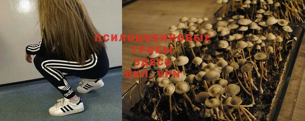 кокаин колумбия Богородск