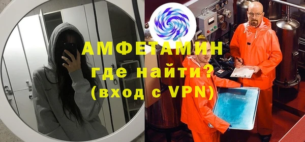 гидра Богородицк