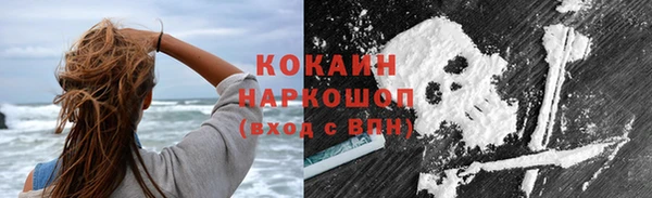 гидра Богородицк