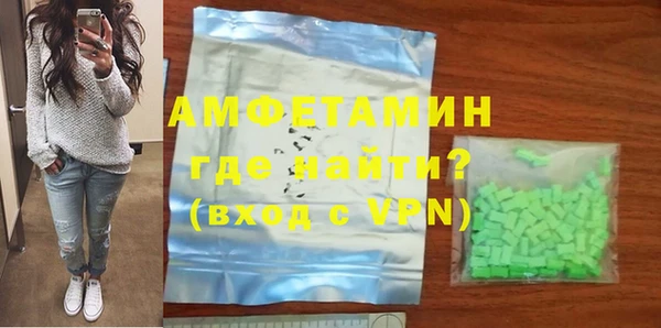 гидра Богородицк